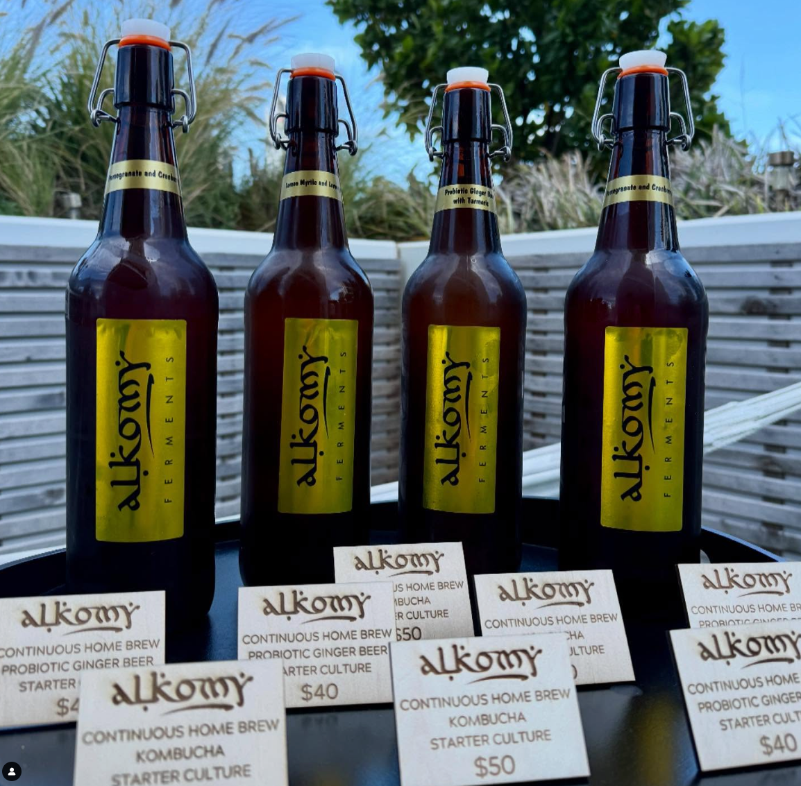 Alkomy Ferments - Organic Branding